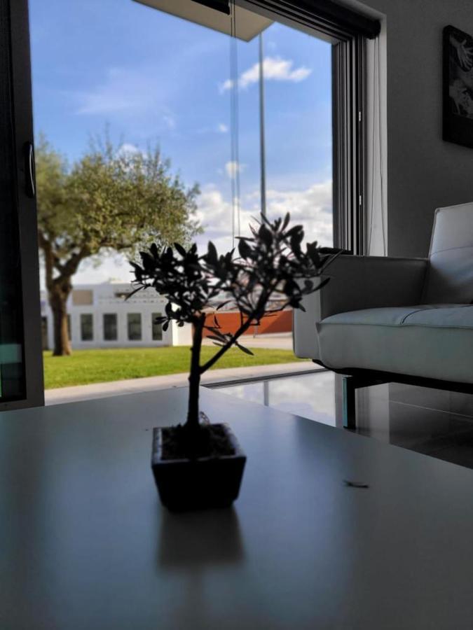 Olive Ap. Torreira Exterior foto